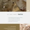Kołdra 155x200 zimowa naturalna wełniana MERINO